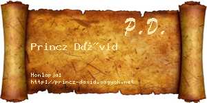 Princz Dávid névjegykártya